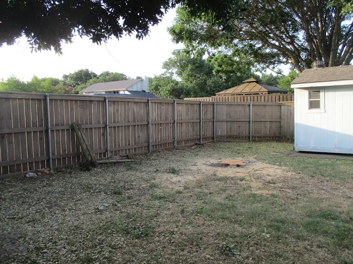 Cleared yard after professional tree removal in Meeteetse